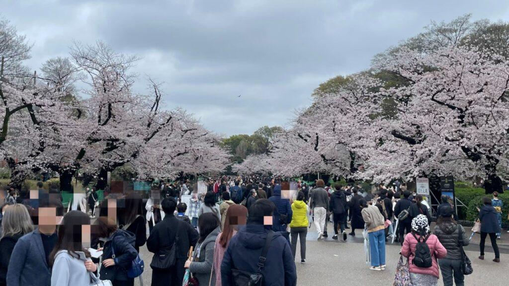 写真：2023年3月25日(土)上野恩賜公園