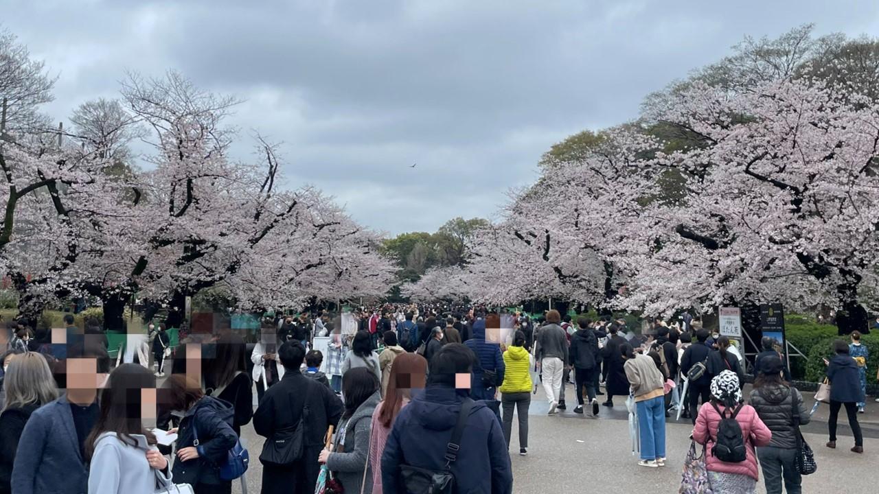 2023年全国お花見スポットの人流データを公開