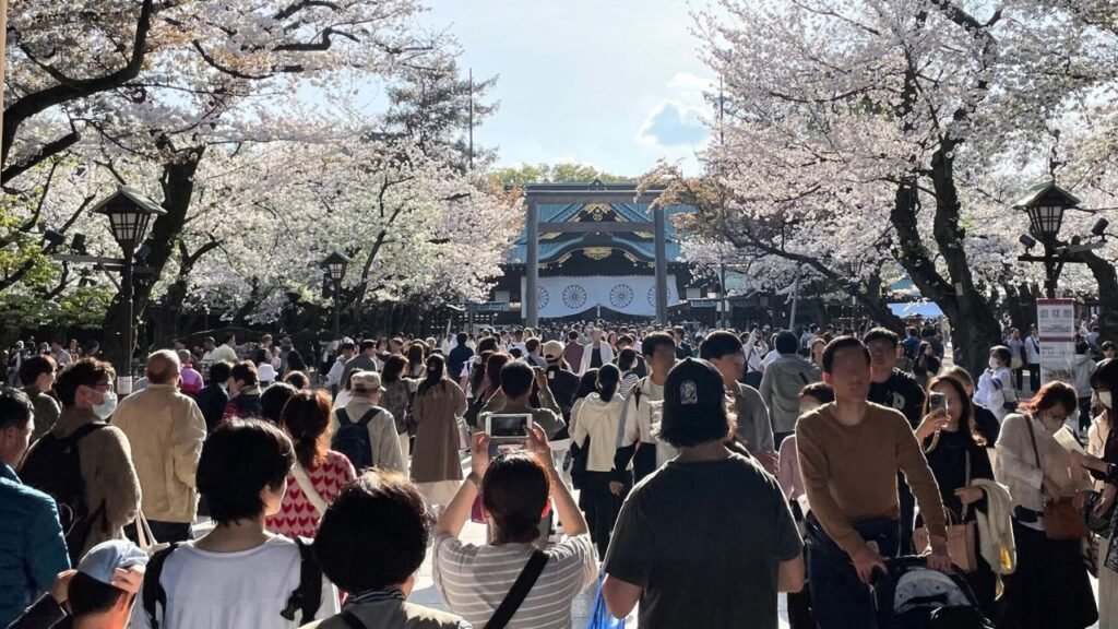 写真：2024年4月7日(日)靖国神社の桜